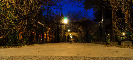 Winter scene, empty alley in Cismigiu Gardens Park in Bucharest, Romania, 2020のeditorial素材