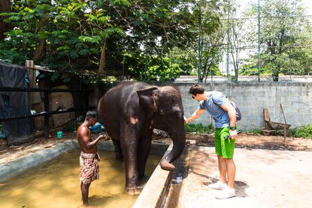 Man petting an elephant in Colombo, Sri Lanka, 2020のeditorial素材