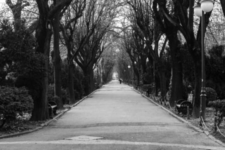 Winter scene, empty alley in Cismigiu Gardens Park in Bucharest, Romania, 2020のeditorial素材