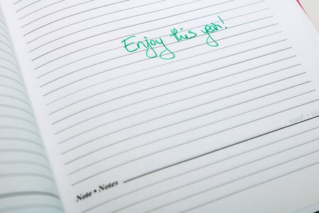 Enjoy this year, handwriting text on page of office agenda. Copy space.の写真素材