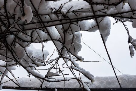 Perfectly shaped snow, snowy environment in the morning. Winter concept, frozen and snow covered placeの写真素材