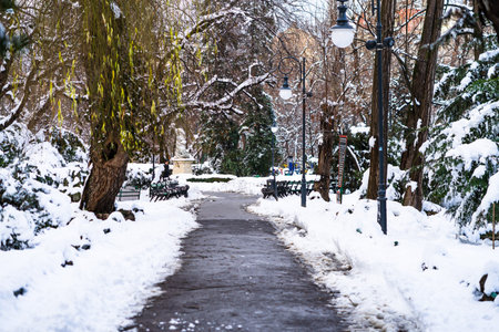 Path way made by people walking thru the snow in the park. Path in heavy snow. Winter concept...