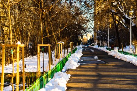 Empty alley in the Bucharest North Railway Park in a cold winter morning, Bucharest, Romania, 2020のeditorial素材