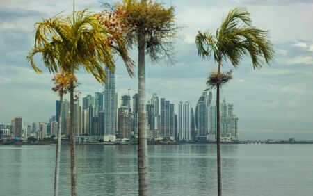 Palms and panoramic view of downtown Panama skyscrapers in Panama City, Panama, 2020のeditorial素材