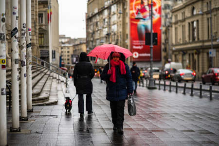 Woman with umbrella walking on a rainy day on the main boulevard of Bucharest city, Romania 2020のeditorial素材