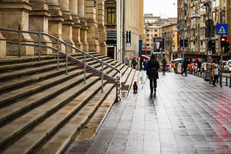 Man, pedestrian walking his dog on a rainy day on Victoriei boulevard of Bucharest city, Romania 2020のeditorial素材