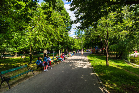 People walking, having fun, enjoying outdoor in park after quarantine or restrictions of...
