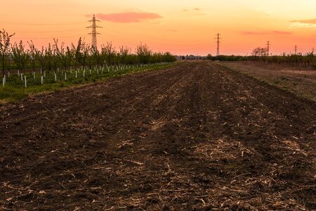 Beautiful colorful orange sunset sky over the agricultural field.の写真素材