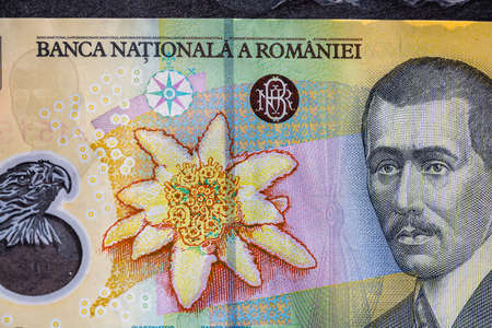 Selective focus on detail of lei banknotes. Close up macro detail of romanian lei banknotes, 50 lei isolated. World money concept, inflation and economy conceptの写真素材