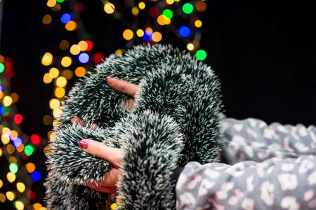 Woman's hands hold christmas decoration. Christmas and New Year holidays background, winter season with Christmas ornaments and blurred lightsの写真素材