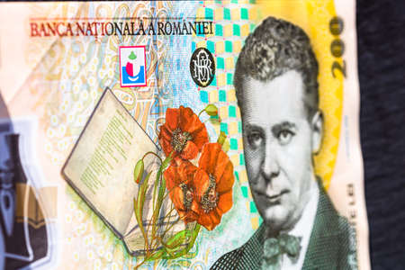 Selective focus on detail of lei banknotes. Close up macro detail of romanian lei banknotes, 200 lei isolated. World money concept, inflation and economy conceptのeditorial素材