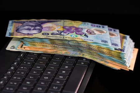 Lei banknotes on keyboard. Selective focus on stack of LEI romanian money.の写真素材