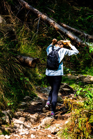 Mountains trip, tourist with backpack hiking through mountain forest in Bihor, Romania, 2021