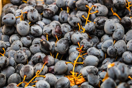 Close up of ripe grapes, background of grapes.の写真素材