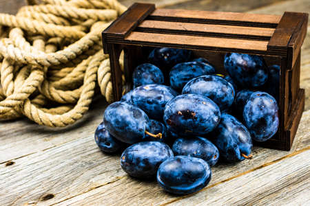 Ripe blue plums in a wooden crate in a rustic composition.の写真素材