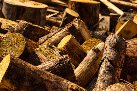 Cut and stacked dry woods. Pile of sawing woods.