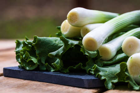 Close up of details of fresh green onions (scallion) and green lettuce on a cutting board isolated.の写真素材