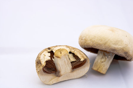 Fresh champignons, champignon mushrooms, close-up, isolatedの写真素材