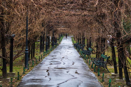 Empty alley in Cismigiu park in Bucharest, capital city of Romaniaのeditorial素材