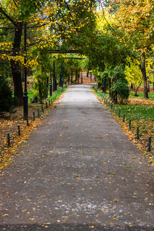 Empty alley in Cismigiu park in Bucharest, capital city of Romaniaのeditorial素材