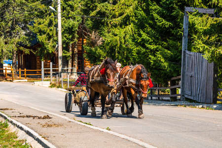 Horse carriage on mountain road in Bihor, Romania, 2021のeditorial素材