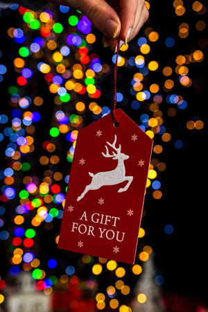 Holding Christmas decoration against bokeh lights backgroundの写真素材