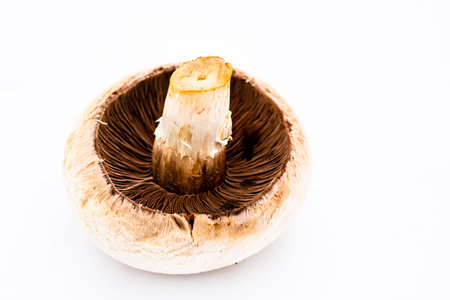 Fresh champignons, champignon mushrooms, close-up, isolated