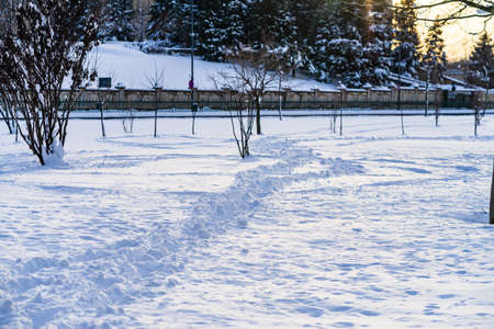 Perfectly shaped snow, snowy environment in the morning. Winter concept, frozen and snow covered place. Snowy road in Bucharest, Romania, 2021の写真素材