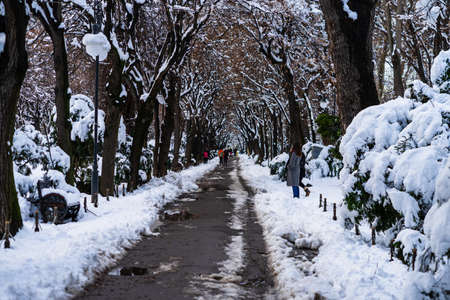 Walking on snowy trail in Bucharest, Romania, 2021. Snow on streets, snowy road, winter dayの写真素材