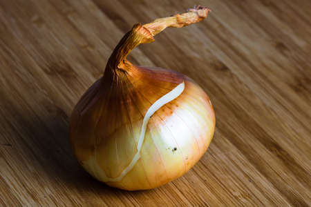 Detail of onion on wooden tableの写真素材
