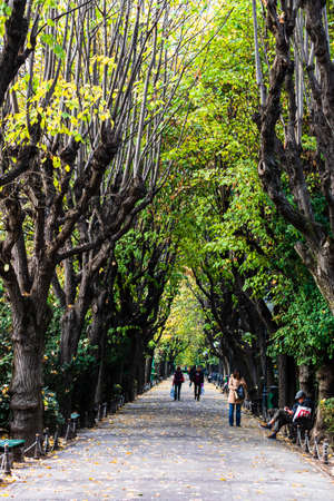 Empty alley in Cismigiu park in Bucharest, capital city of Romaniaのeditorial素材
