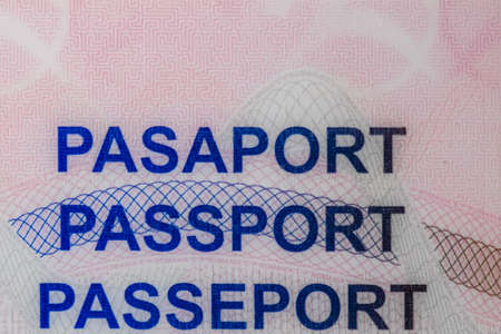 Detail of visas on passport. Travelling visas on passportの写真素材