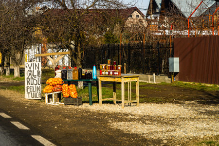 Romanian peasants selling vegetables and fruits on the road in Targoviste, Romania, 2021