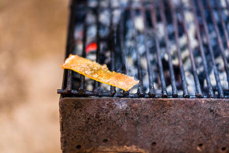 Pork skin on grill. Barbecue, picnic outdoorsの写真素材