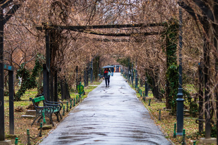 Empty alley in Cismigiu park in Bucharest, capital city of Romaniaのeditorial素材