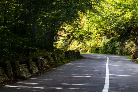 View through car windshield of  mountain road between the trees on sunny day.の写真素材