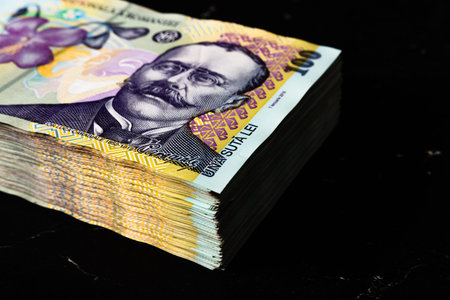 Stack of LEI Romanian money. RON Leu Money European Currency