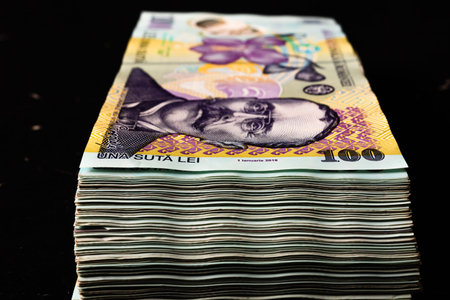 Stack of LEI Romanian money. RON Leu Money European Currency