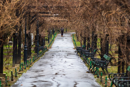 Empty alley in Cismigiu park in Bucharest, capital city of Romaniaのeditorial素材