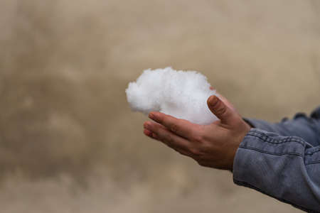 Man holding snow in his handsの写真素材