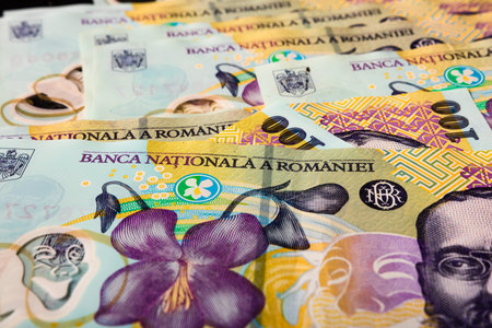 Stack of LEI Romanian money. RON Leu Money European Currency