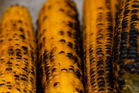 Grilled corn vegetable food background