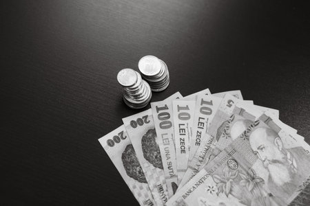 Romania LEI money. Romanian LEI currency