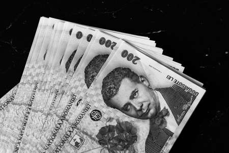 Stack of LEI Romanian money. RON Leu Money European Currencyの写真素材