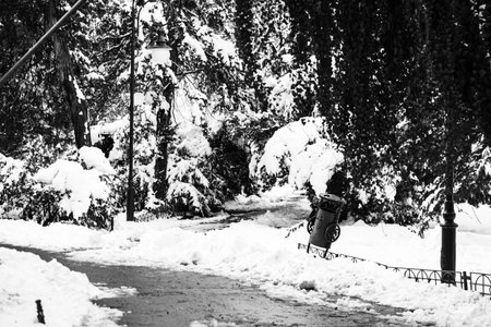 Path way made by people walking thru the snow in the park. Path in heavy snow. Winter concept...
