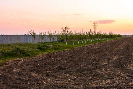 Countryside farming land. Land prepared for farming. Agriculture conceptの写真素材