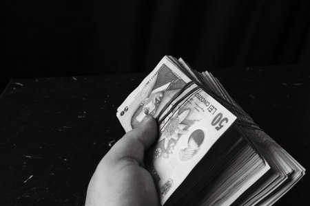 LEI Romanian money. RON Leu money european currency and inflationの写真素材