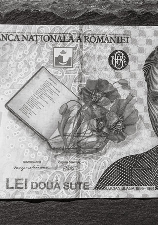 LEI Romanian money. RON Leu money european currency and inflation