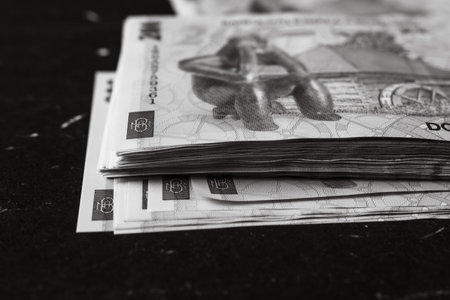 LEI Romanian money. RON Leu money european currency and inflationの写真素材