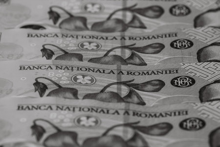 Selective focus on detail of lei banknotes. Close up macro detail of romanian lei banknotes, 100 lei isolated. World money concept, inflation and economy conceptの写真素材